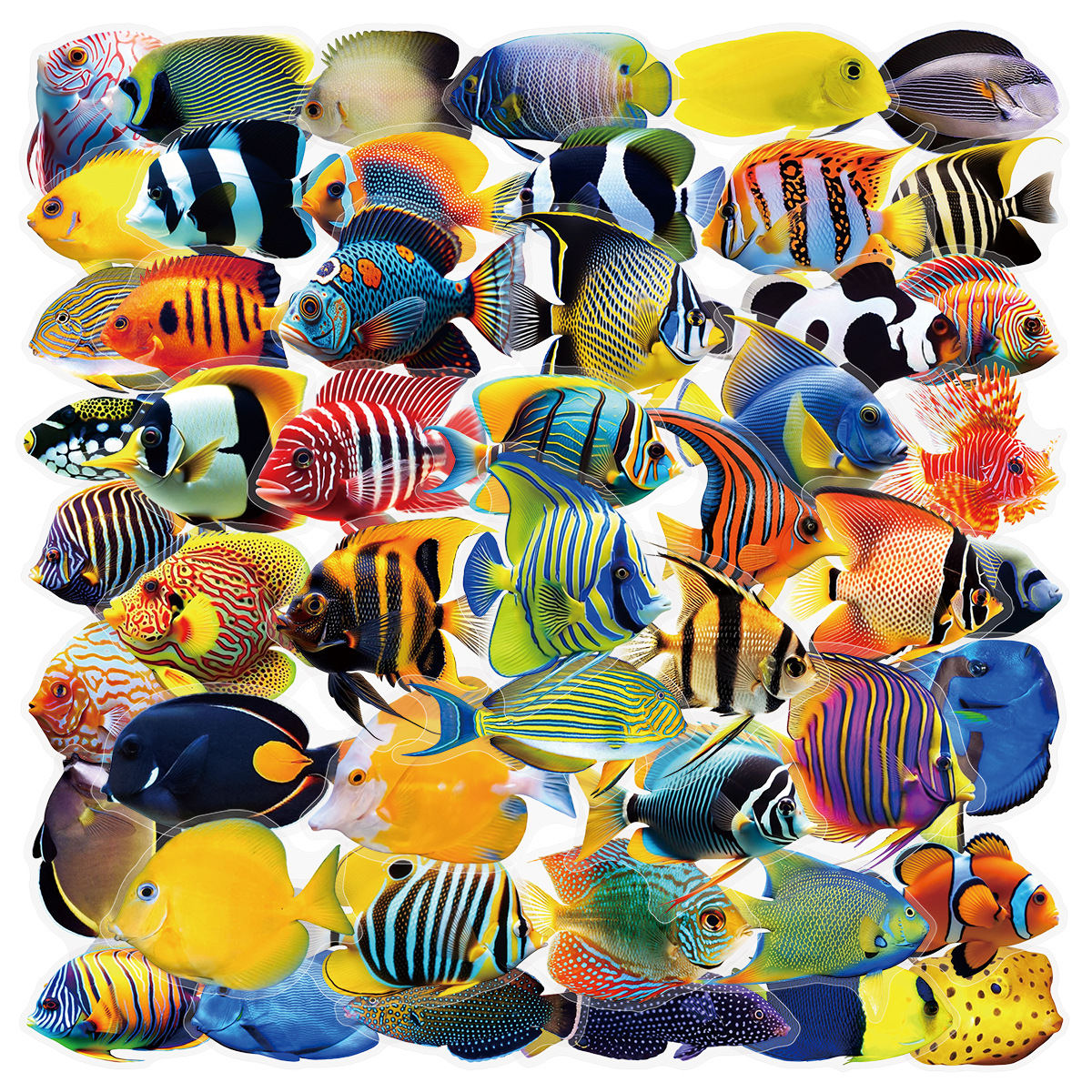 Aquarium And Marine - 50/100 Pcs PET Transparent Marine Fish