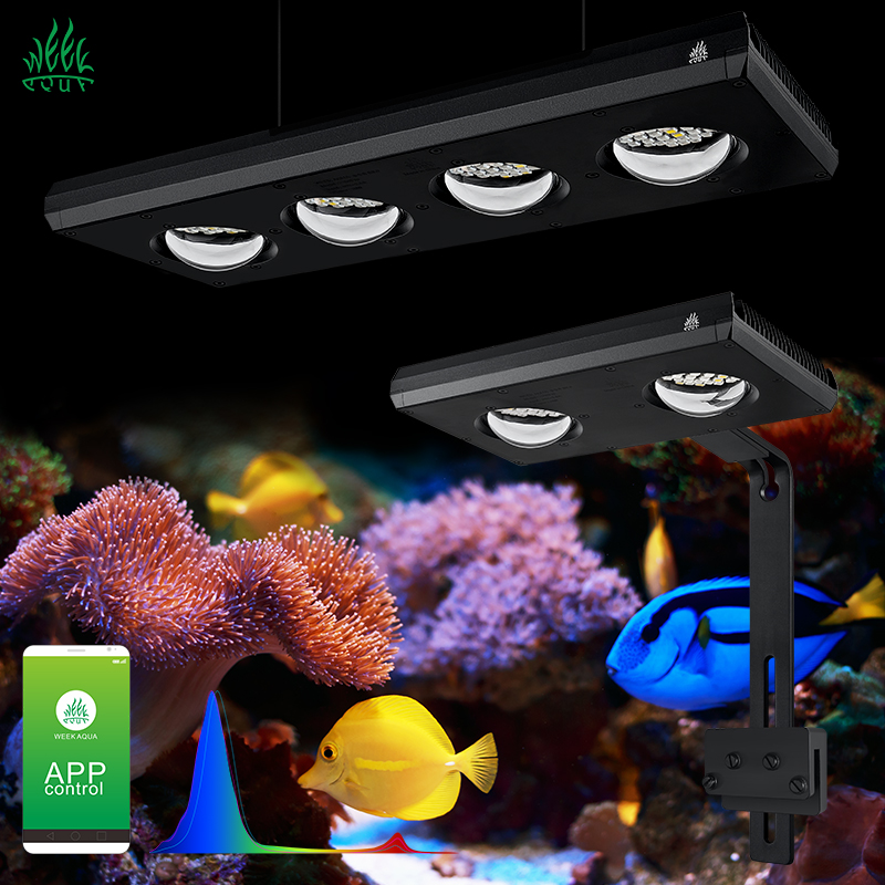 ZXY Hot Sale WEEKAQUA Z250 Z40 - Marine Aquarium App incelemesi ve fiyatı