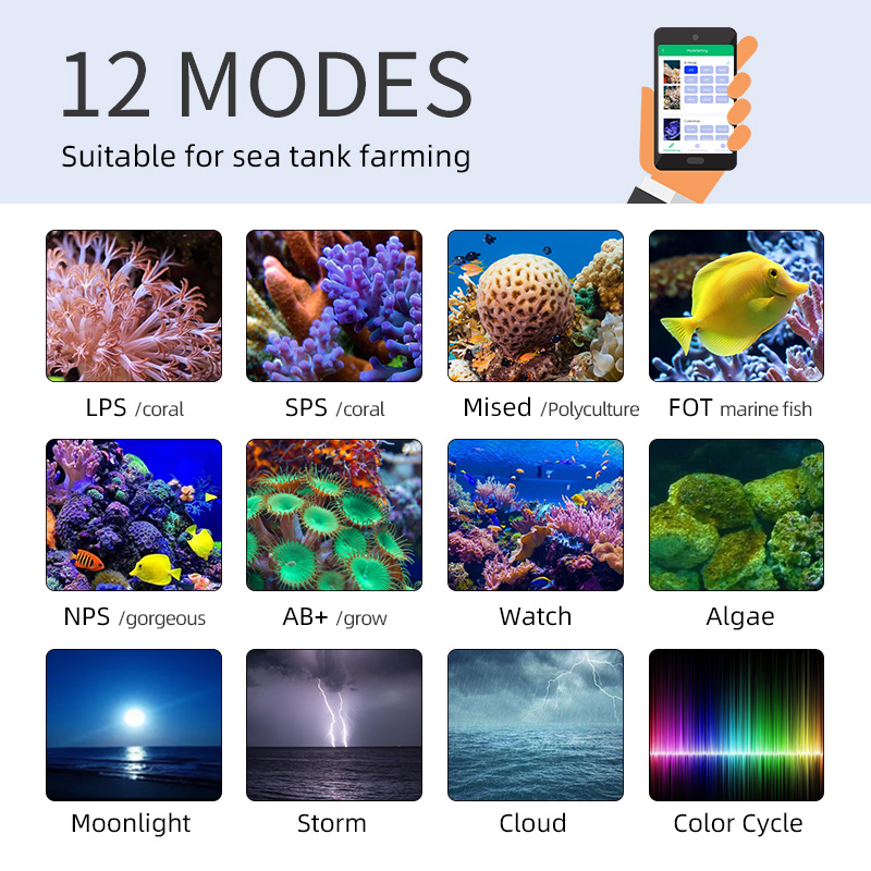 ZXY Hot Sale WEEKAQUA Z250 Z40 - Marine Aquarium App incelemesi ve fiyatı
