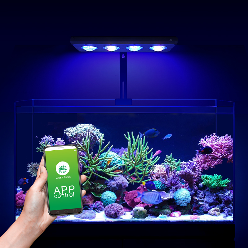 ZXY Hot Sale WEEKAQUA Z250 Z40 - Marine Aquarium App incelemesi ve fiyatı