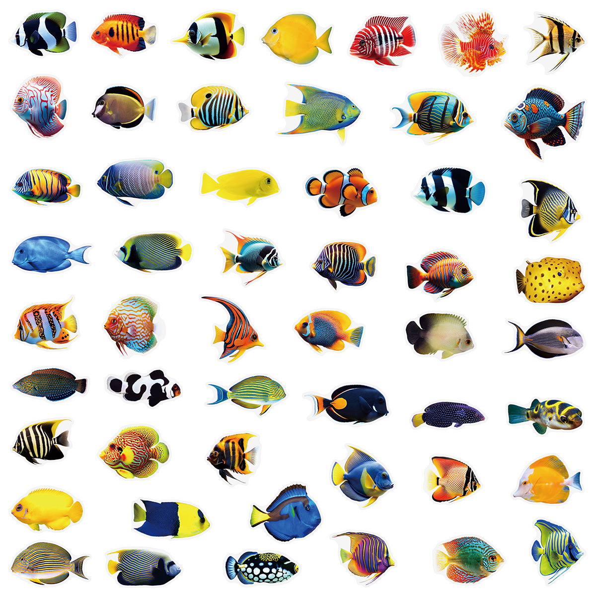 50/100 Pcs PET Transparent Mar - Aquarium And Marine incelemesi ve fiyatı