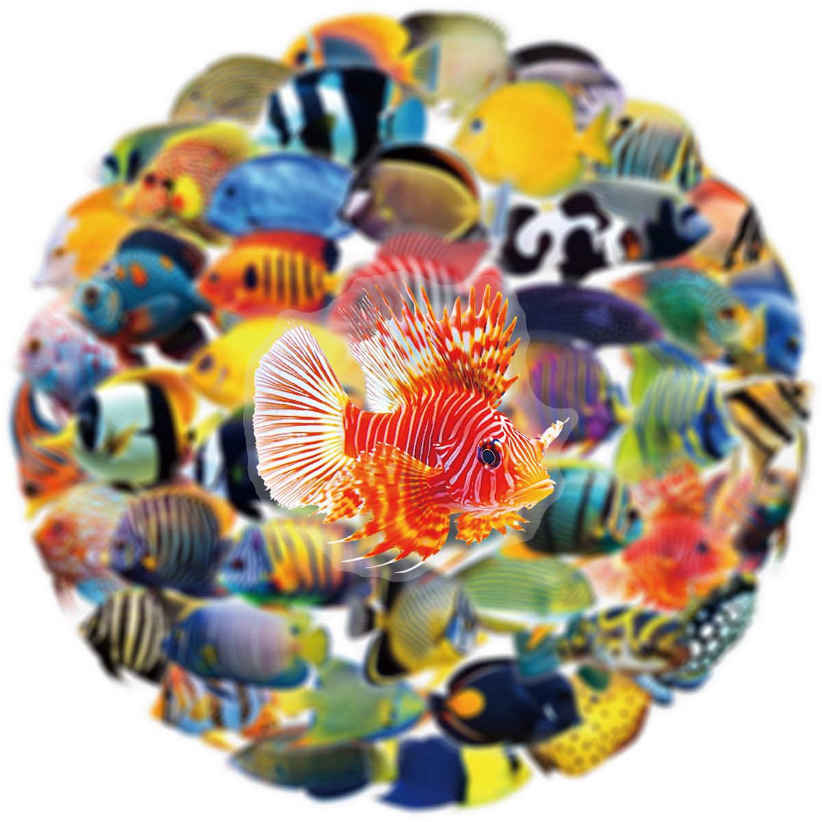 50/100 Pcs PET Transparent Mar - Aquarium And Marine incelemesi ve fiyatı