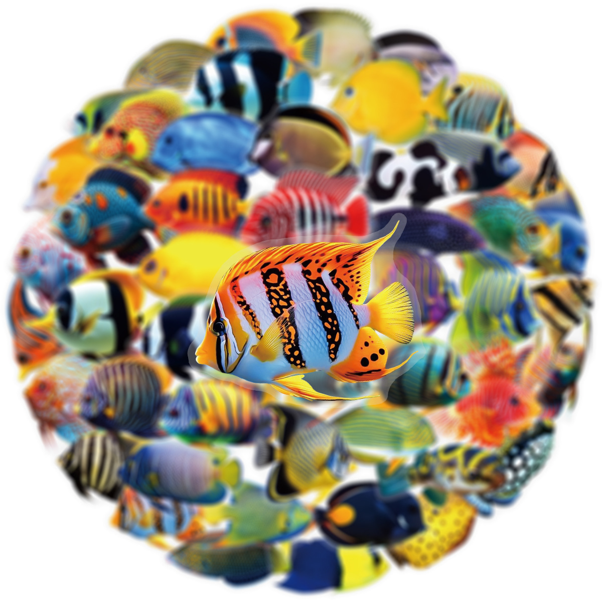 50/100 Pcs PET Transparent Mar - Aquarium And Marine incelemesi ve fiyatı