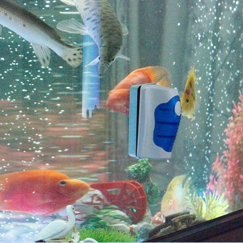 Fish Tank Glass Scraper Cleane - Marine Aquarium Glass Cleaner incelemesi ve fiyatı