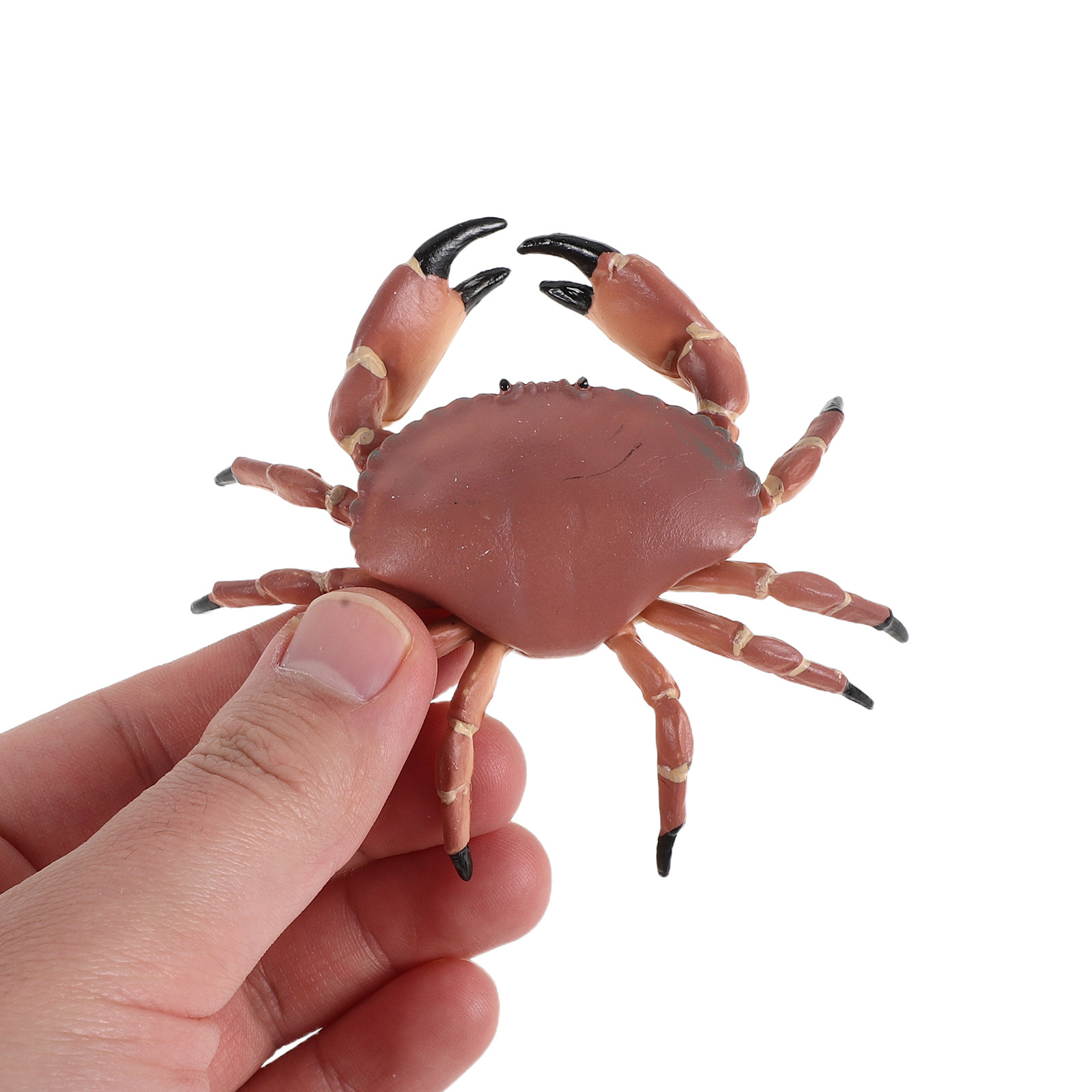 3Pcs Realistic Plastic Crab Fi - Aquarium And Marine incelemesi ve fiyatı