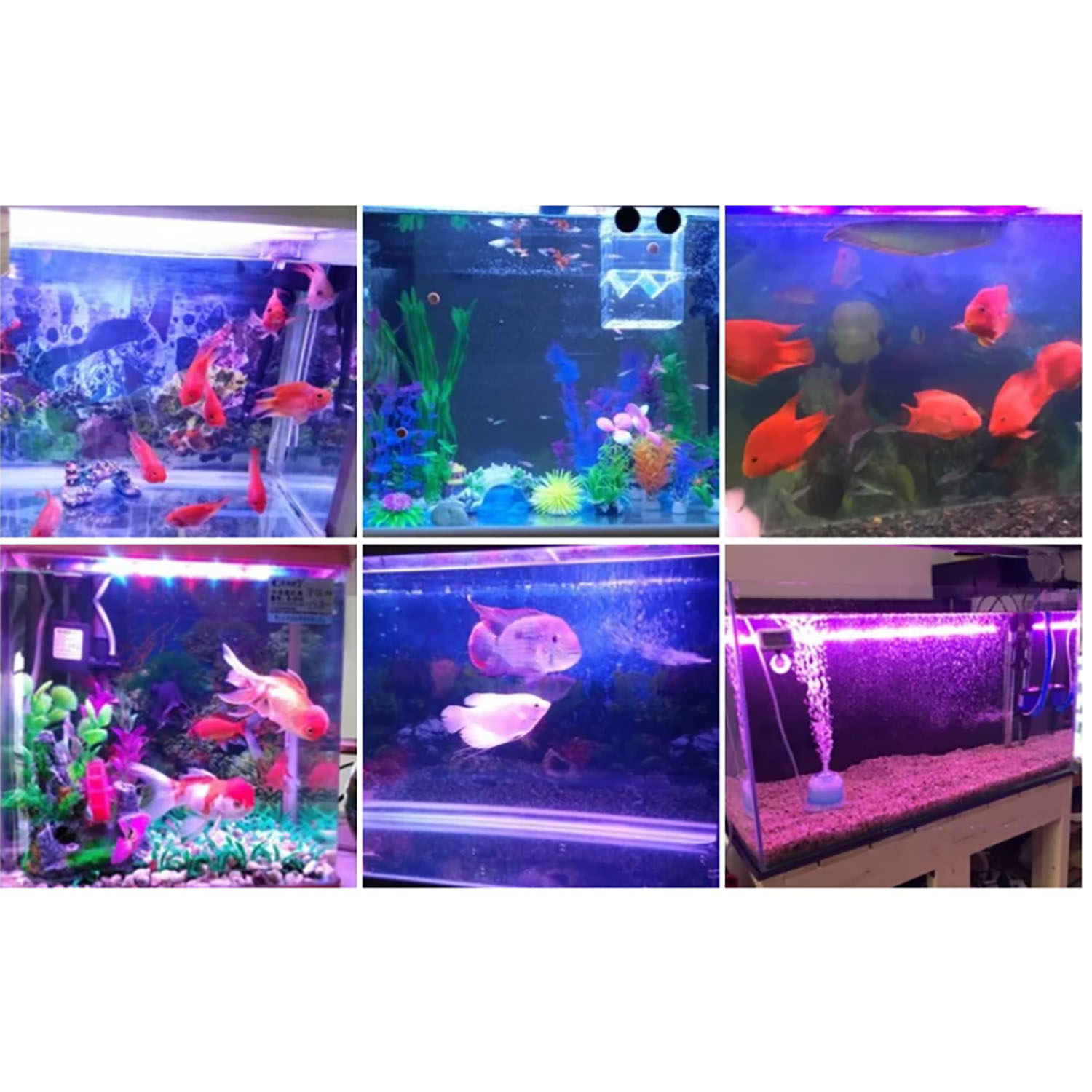 50W 60W 70W 100W RGB 26-28V Hi - Aquarium Marine Color incelemesi ve fiyatı