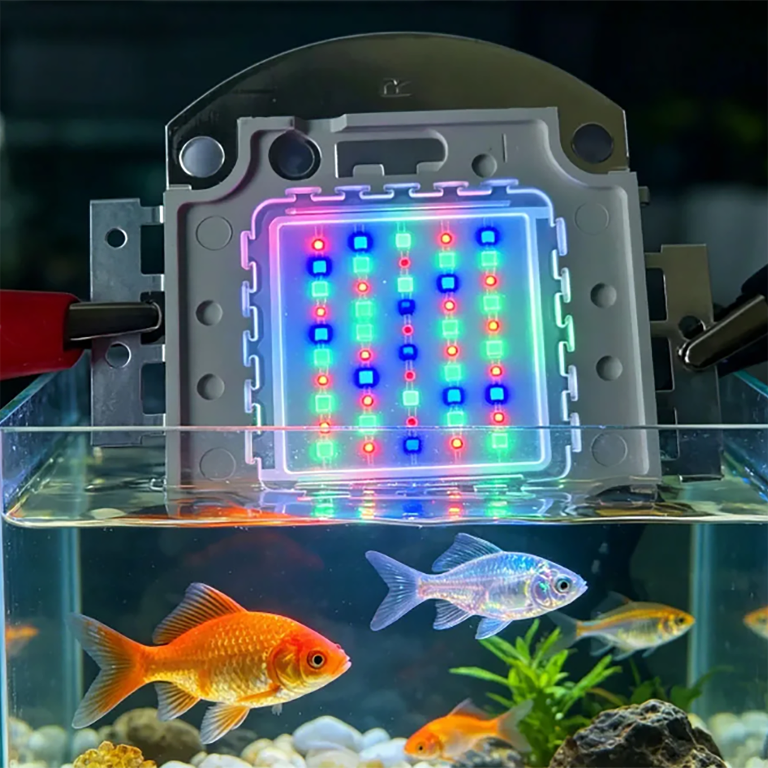 50W 60W 70W 100W RGB 26-28V Hi - Aquarium Marine Color incelemesi ve fiyatı