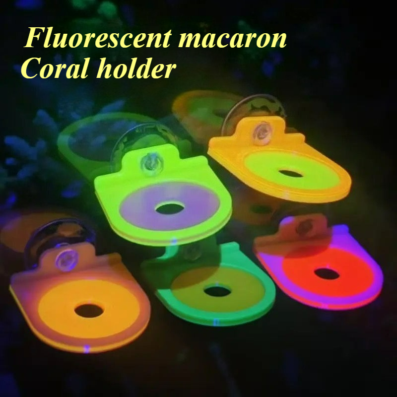 Color Random Coral Frag Holder - Aquarium Marine Color incelemesi ve fiyatı