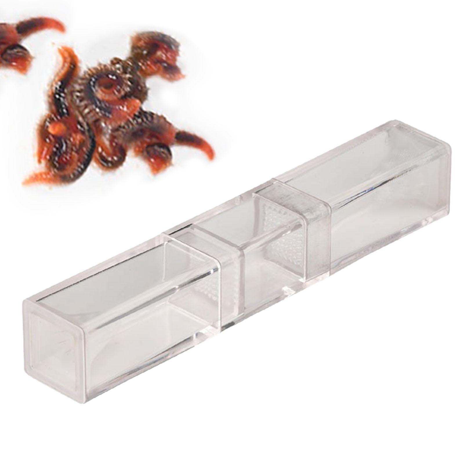 Aquarium Planaria Catcher for  - Marine Aquarium Worms incelemesi ve fiyatı