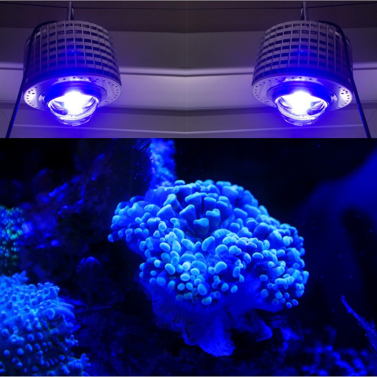 LED Aquarium Lighting Full Spe - Aquarium Marine Color incelemesi ve fiyatı