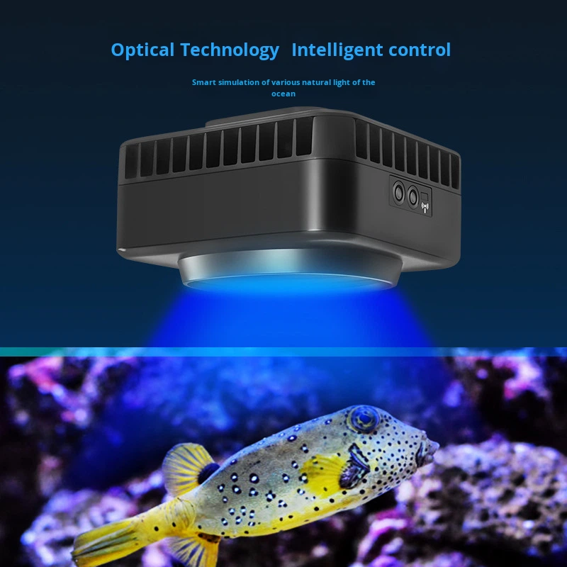 Jebao GSQ Smart Marine Coral L - Aquarium Marine Color incelemesi ve fiyatı